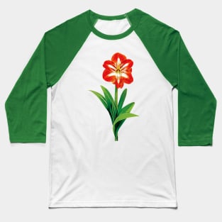 Orange and White Amaryllis Baseball T-Shirt